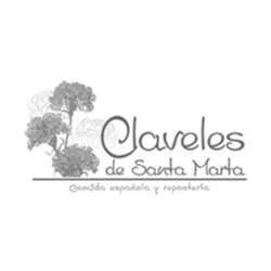 claveles de santamaria