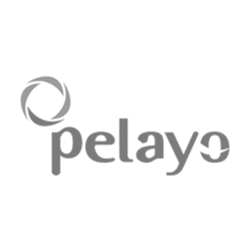 Pelayo